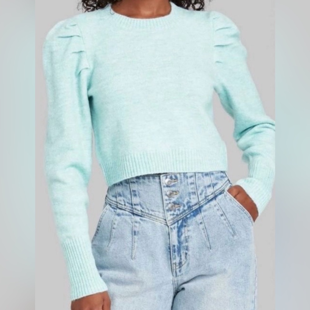 Wild Fable Puffy Sleeved Sweater